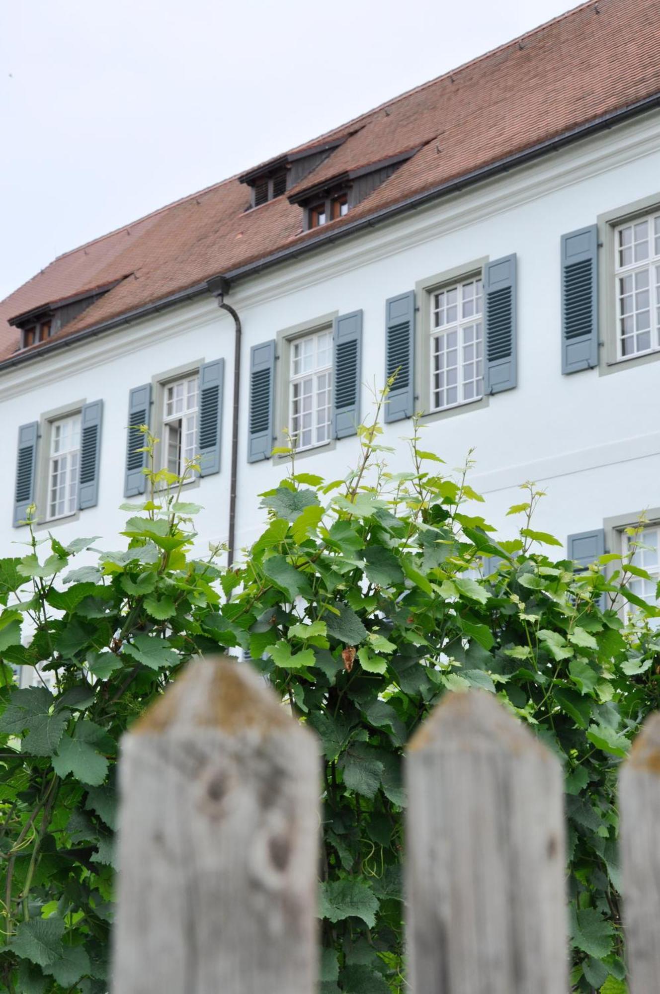 Auszeit Apartment Хагнау Екстериор снимка